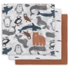 Jollein Mullwindeln 3er-Pack Polar 70 X 70 Cm